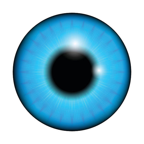 istock The pupil of the eye, eye ball. 498573114