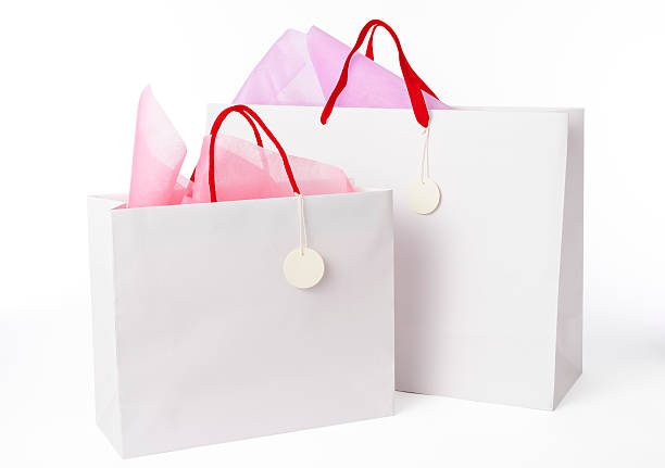 istock Isolated shot of two blank shopping bag on white background 498573396