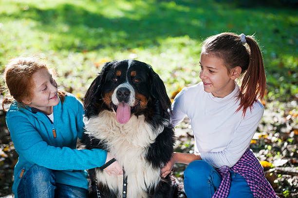 Cuter girls with her pet Bernese mountain dog