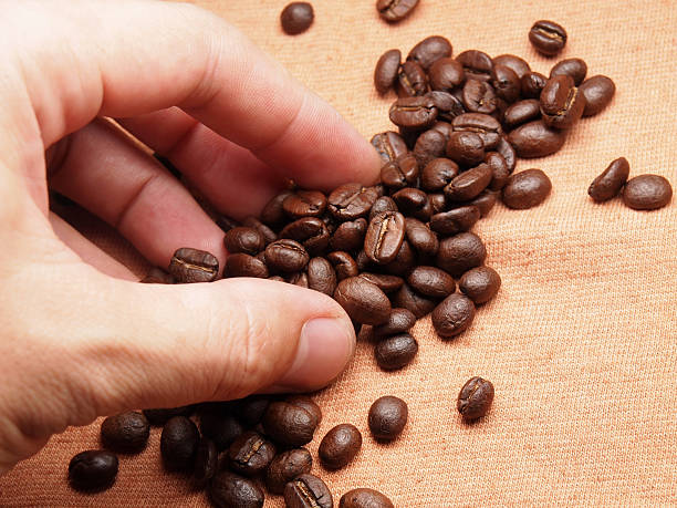 istock part of hand with coffee crop beans on fabric textile 498576257