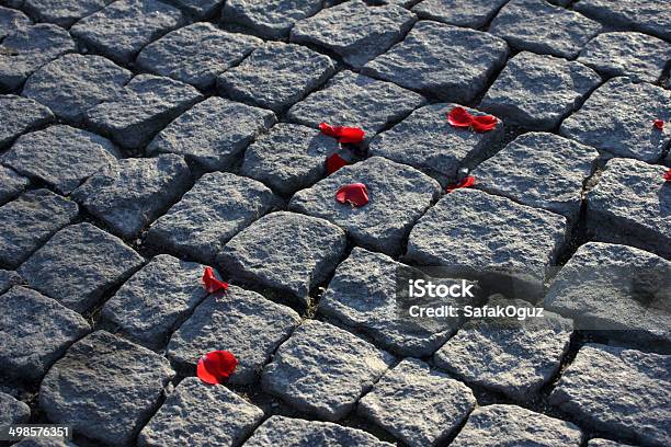 Lastricato - Fotografie stock e altre immagini di A forma di blocco - A forma di blocco, Acciottolato, Accuratezza