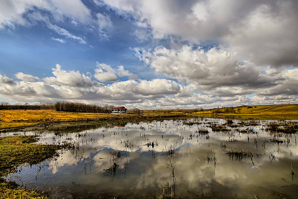 istock Cottage by the Lake 498576527