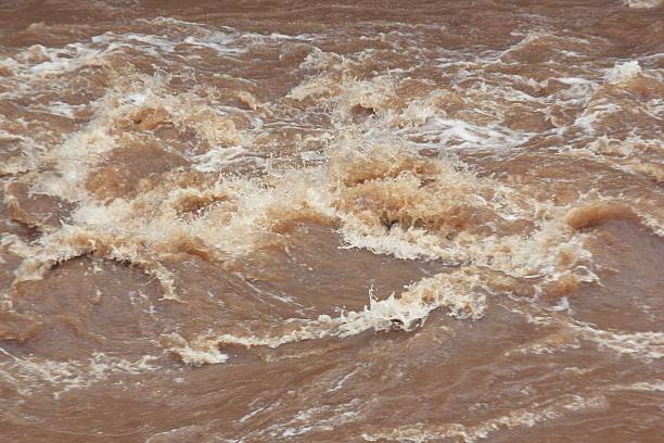 istock The fast movement of water in forest. 498576550