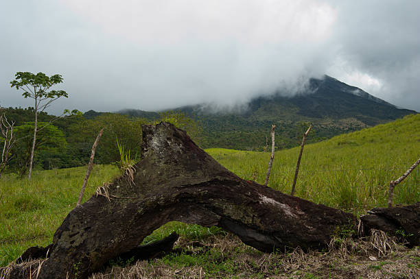 istock Dead Log with Arenal Volcano in Background 498577193