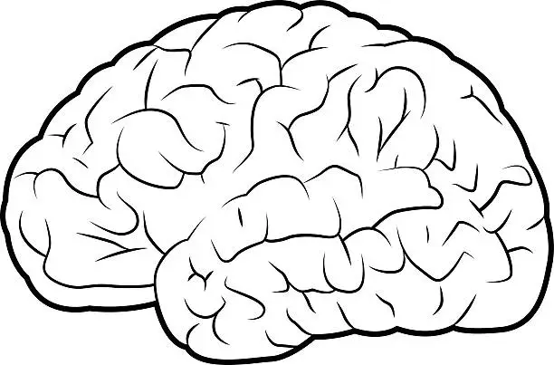 Vector illustration of Brain