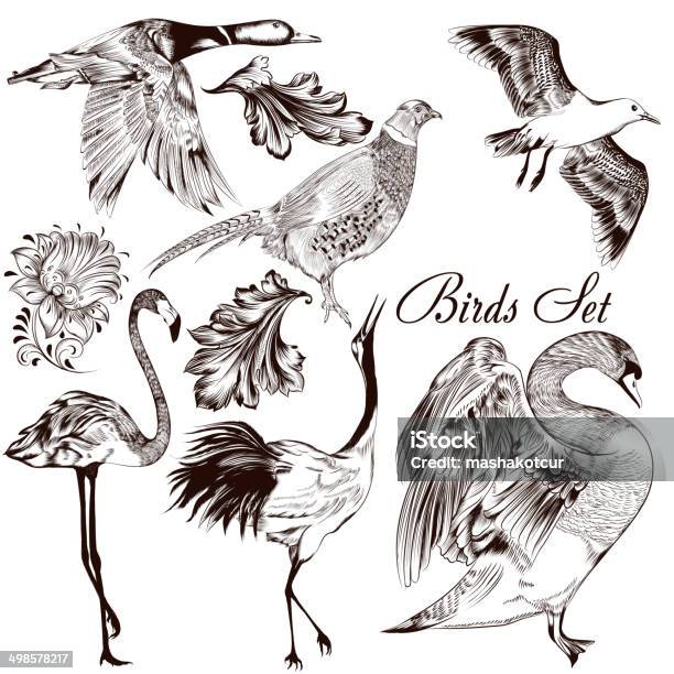 Collection Of Vector Detailed Hand Drawn Birds Stock Illustration - Download Image Now - Old-fashioned, Retro Style, Flamingo