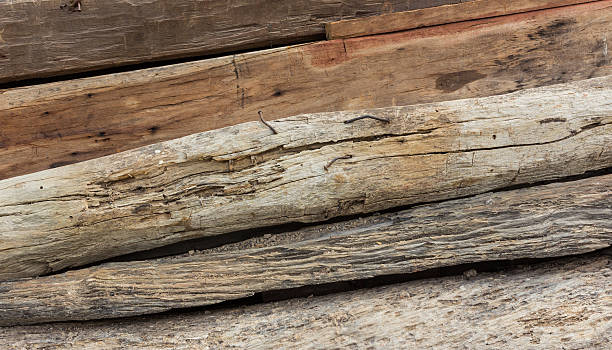 pila di vecchie bastone di legno - tree removing house damaged foto e immagini stock
