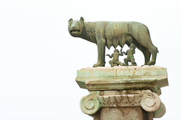 istock The wolf of Rome 498579696