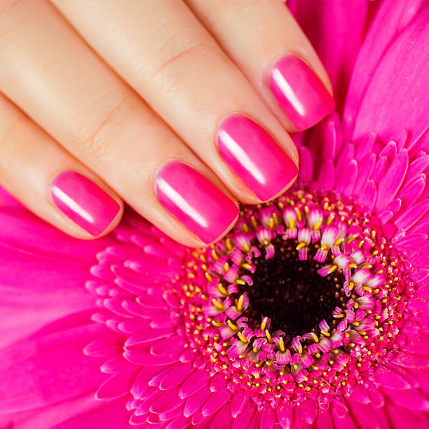 istock pink manicure with flower gerbera on a gold background. 498580403