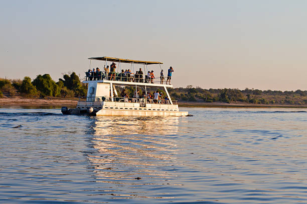 istock Safari boat cruise 498581445