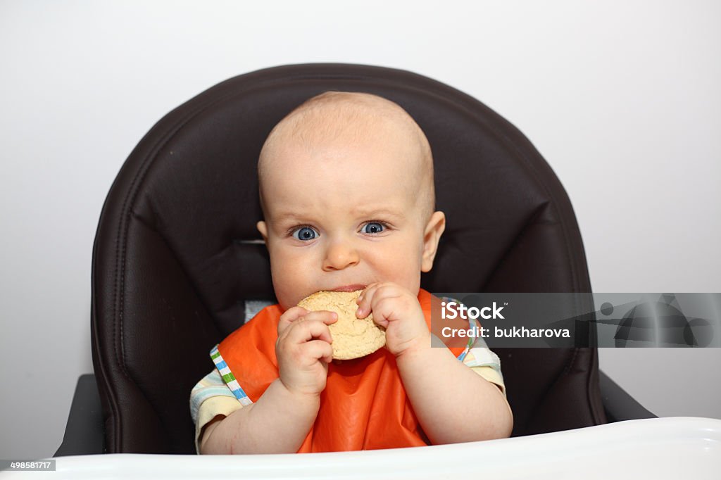 Bebê comer um cookie - Royalty-free 6-11 meses Foto de stock