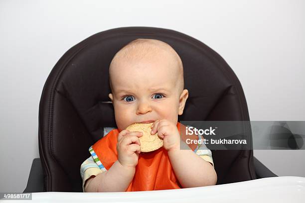 Bebê Comer Um Cookie - Fotografias de stock e mais imagens de 6-11 meses - 6-11 meses, Alimentar, Alimentação Saudável