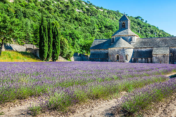 istock Lavender in front of the abbaye de Senanque in Provence 498581801