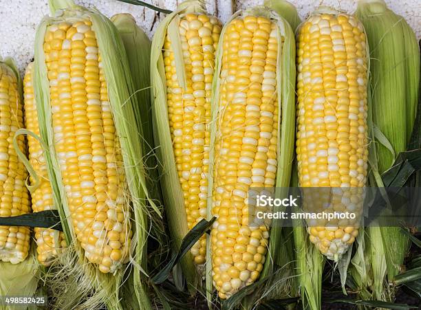 Foto de Grupo De Milho Orgânicos Frescos e mais fotos de stock de Agricultura - Agricultura, Alimentação macrobiótica, Amarelo