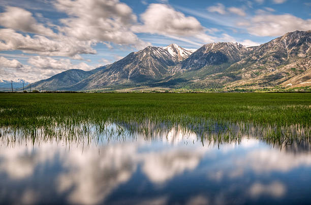 Carson Valley reflexo - foto de acervo