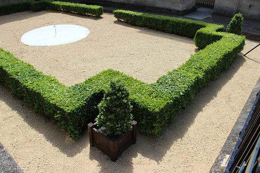 Photo showing an ornate knot garden with clipped buxus hedging (evergreen box / boxwood / buxus sempervirens), and iron railings painted black in colour.  A topiary buxus shaped as a cone is positioned at each corner, being planted in square pots.