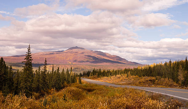 istock Autumn Drive Fall Colors Alaska Mountain Highway Transportation 498585664