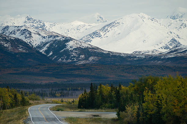 istock Bend in the Road Alaska Mountain Highway Transportation 498585724
