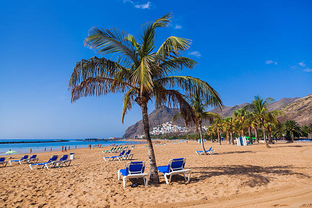 istock Beach Teresitas in Tenerife - Canary Islands 498585864