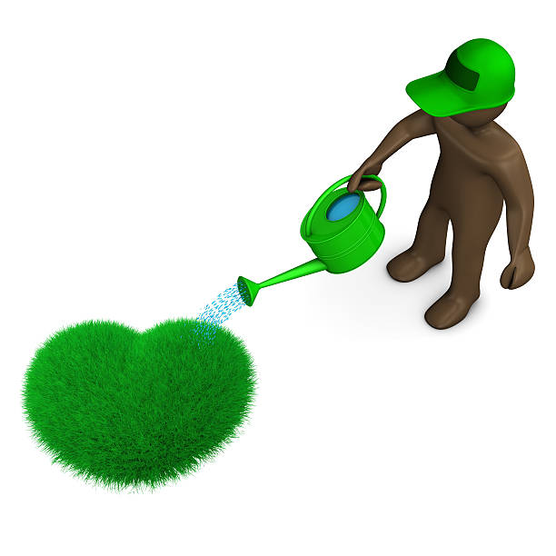 istock Gardener manikin watering grass heart with can, white background 498586280