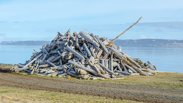 Driftwood collected on a beach in Iceland