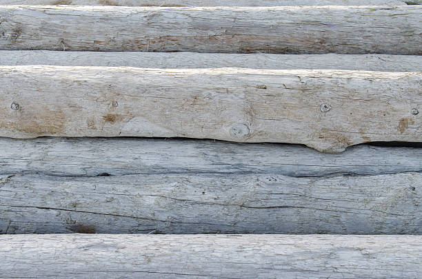 Driftwood collected on a beach in IcelandDriftwood collected on a beach in Iceland