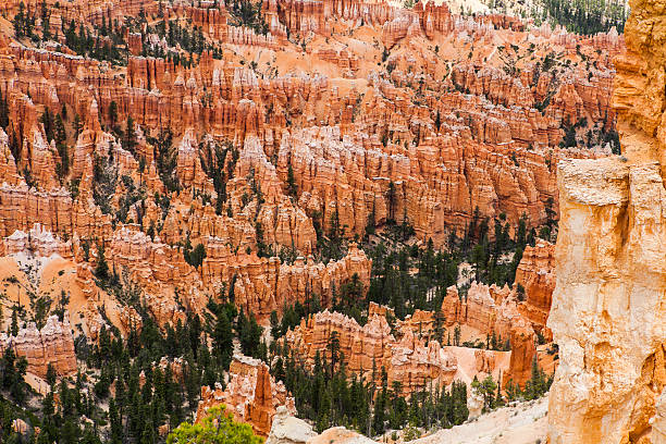 istock Hoodoos of Bryce Canyon 498597259