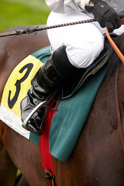 istock Race horse and jockey ready to run 498597555