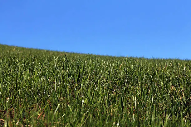 A green meadow under blue sky in Bavaria
