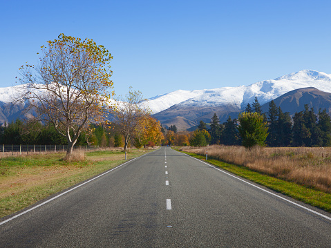 Straight road in Canterbury region, NZ