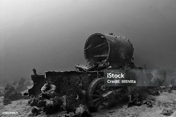 Ss Thistlegorm Wreck Stock Photo - Download Image Now - Africa, Animal, Artificial