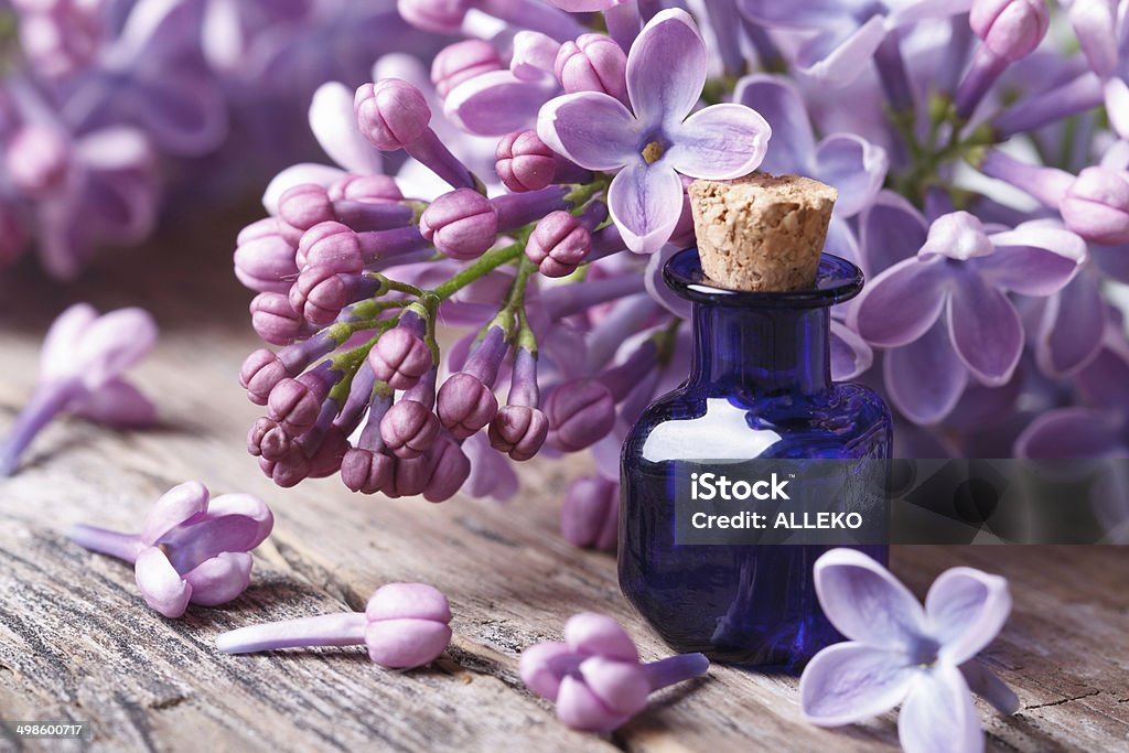 Tincture of aromatic lilac flowers close-up Tincture of aromatic lilac flowers close-up on the table. horizontal Alternative Therapy Stock Photo