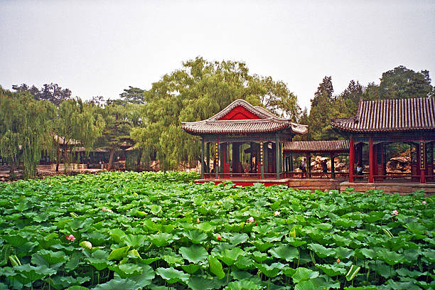 chinese garden pavilions seen across the pond covered with nenufars and water plants in summer palace, Beijing, China