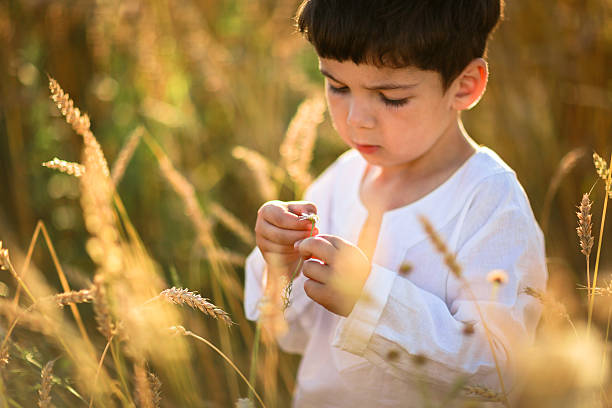 istock child in a field of wheat 498602356