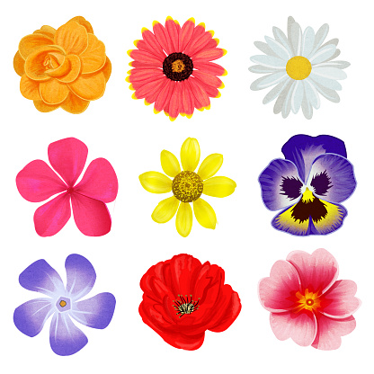 Collection of illustrated spring flowers. Cardboard overlay texture has been added for additional detail.