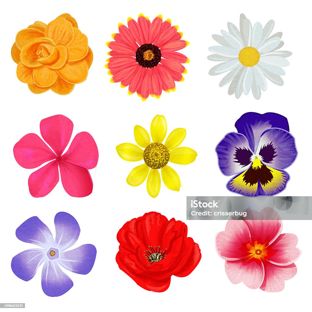 Foto de Coleção De Primavera Flores Ilustradas e mais fotos de stock de Flor  - Flor, Ilustração e Pintura, Fundo Branco - iStock
