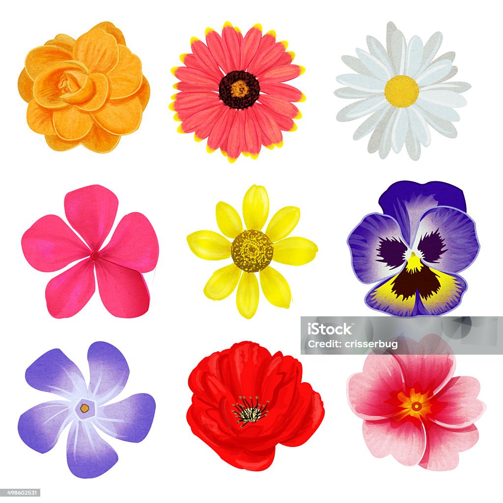 Foto de Coleção De Primavera Flores Ilustradas e mais fotos de stock de Flor - Flor, Ilustração e Pintura, Fundo Branco - iStock Foto de Coleção De Primavera Flores Ilustradas e mais fotos de stock de Flor - Flor, Ilustração e Pintura, Fundo Branco - iStock