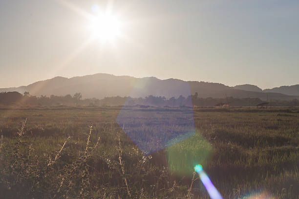 istock Sunrise and field with lens flare 498602640