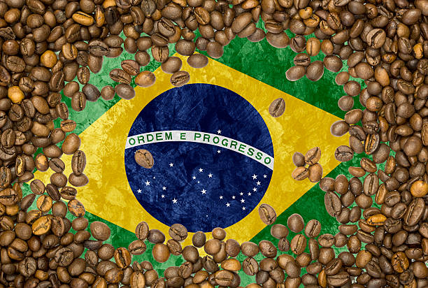 istock Flag of Brazil under a roasted coffee beans background texture 498605552