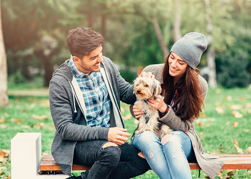 A man and a woman petting a dog outside in the park.