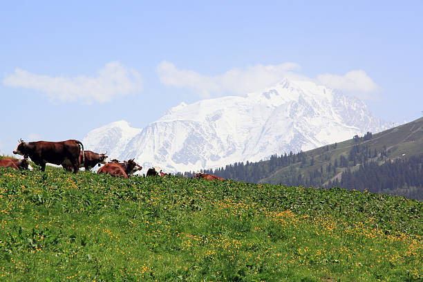 Mont Blanc, ponieważ przejściu Aravis – zdjęcie
