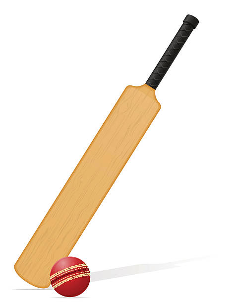 illustrations, cliparts, dessins animés et icônes de batte de cricket et ballon illustration vectorielle - sport of cricket cricket player cricket bat batting