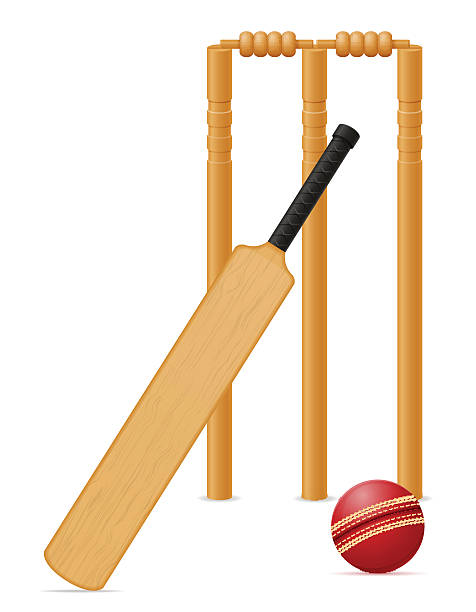 крикет оборудования, bat мяч и воротца векторная иллюстрация - cricket bat stock illustrations