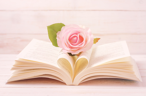 Pastel Rose and opened Book with heart shape in the middle page - Soft Vintage color