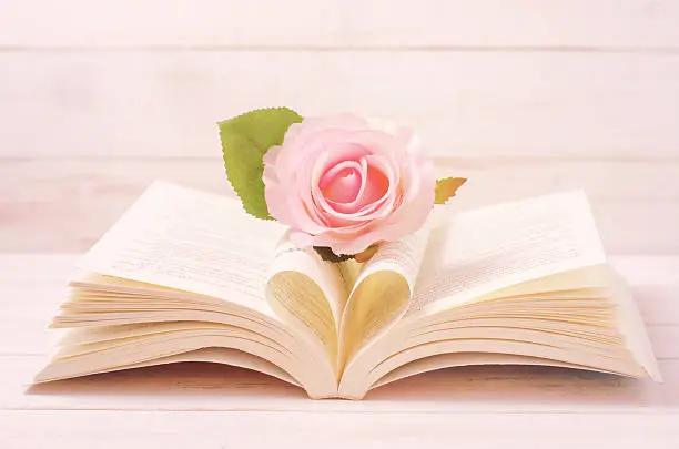 Photo of Pastel Rose and opened Book with heart shape