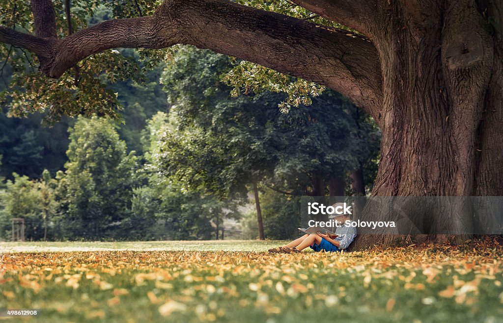 Kleiner Junge liest ein Buch unter großen linden Baum - Lizenzfrei Baum Stock-Foto