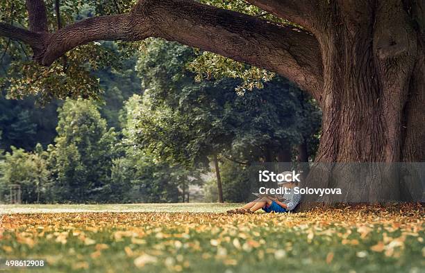 Kleiner Junge Liest Ein Buch Unter Großen Linden Baum Stockfoto und mehr Bilder von Baum