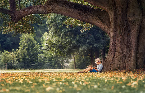 Little boy reading a book under big linden tree