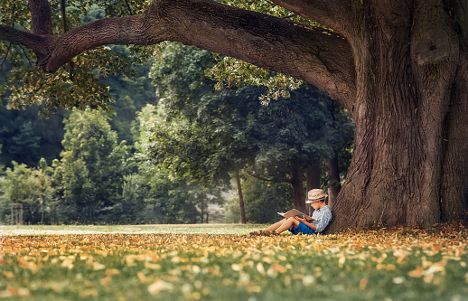 Little boy reading a book under big linden tree by CreativePhotoTeam.com