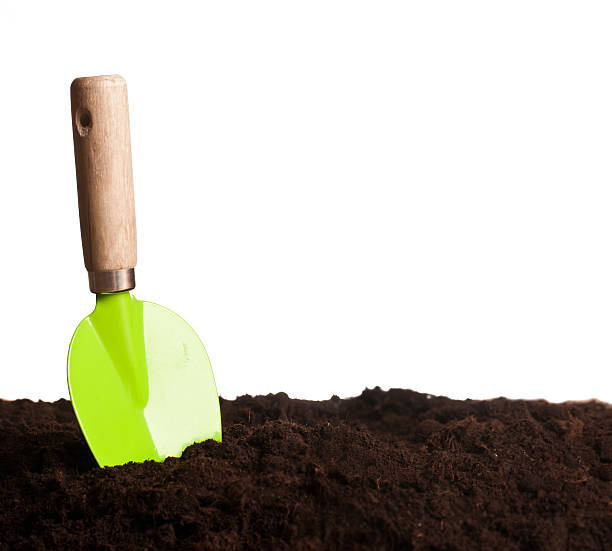 istock Green trowel in ground 498613453